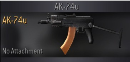 AK74u with Reflex Scope