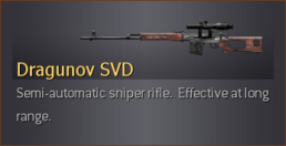 Dragunov with ACOG Scope